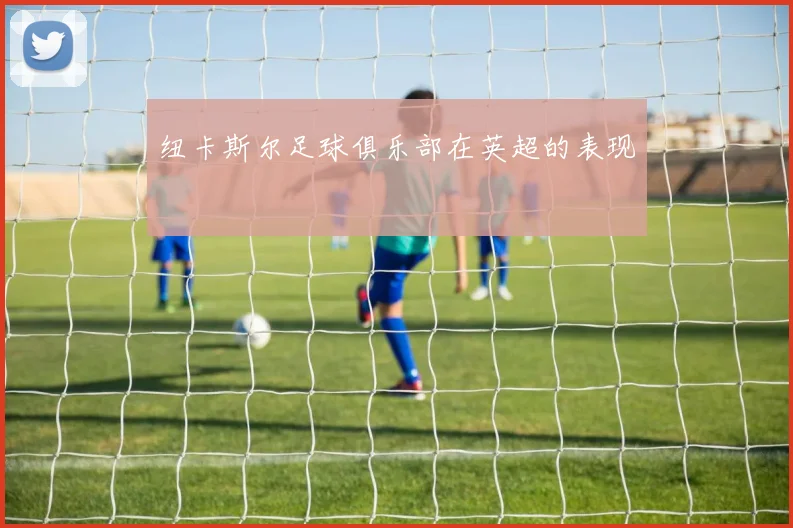 纽卡斯尔足球俱乐部在英超的表现